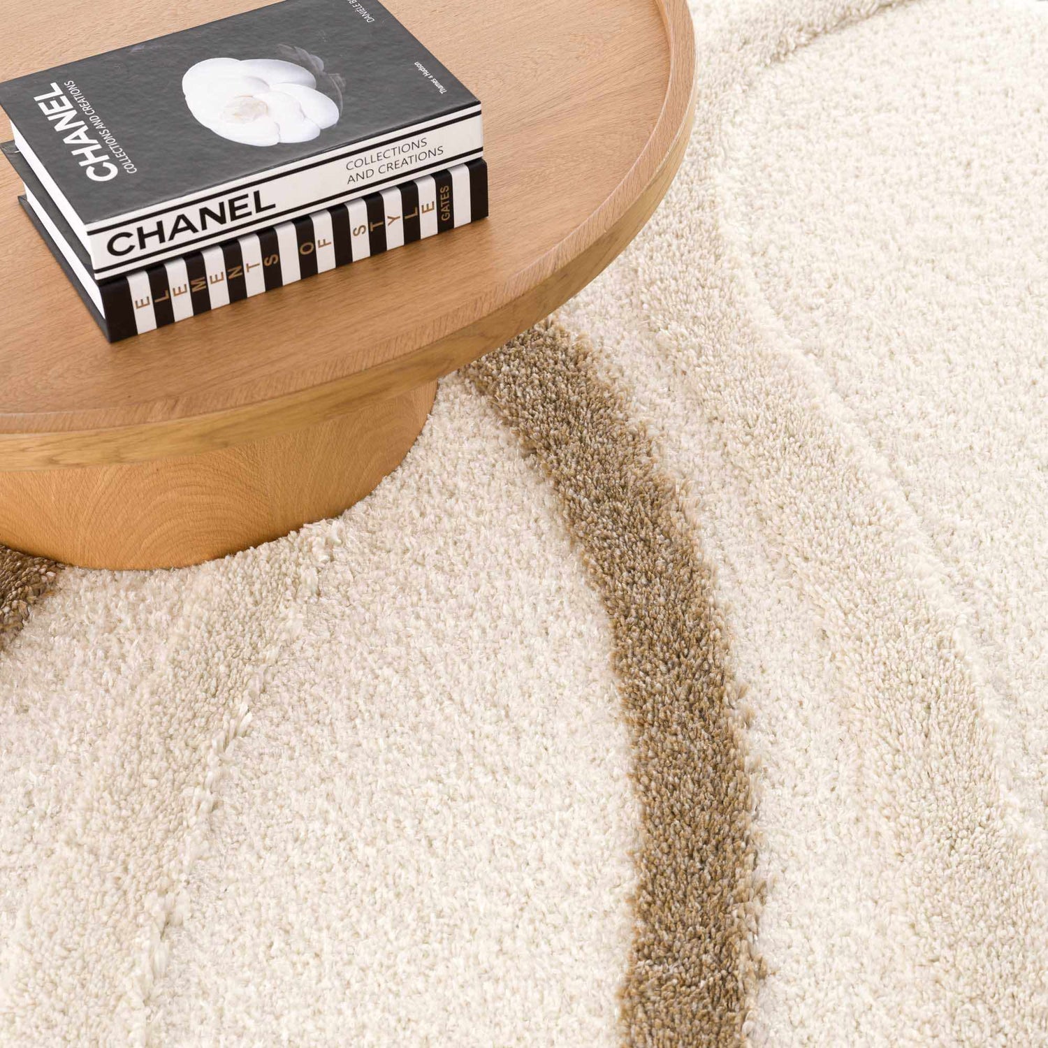 Close-up of the Espiye Area Rug showing its driftwood and cream colors and shag texture with a modern striped design. Styleshot