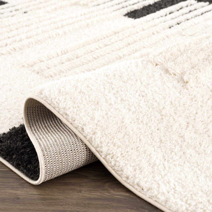Astro Modern Shag Area Rug