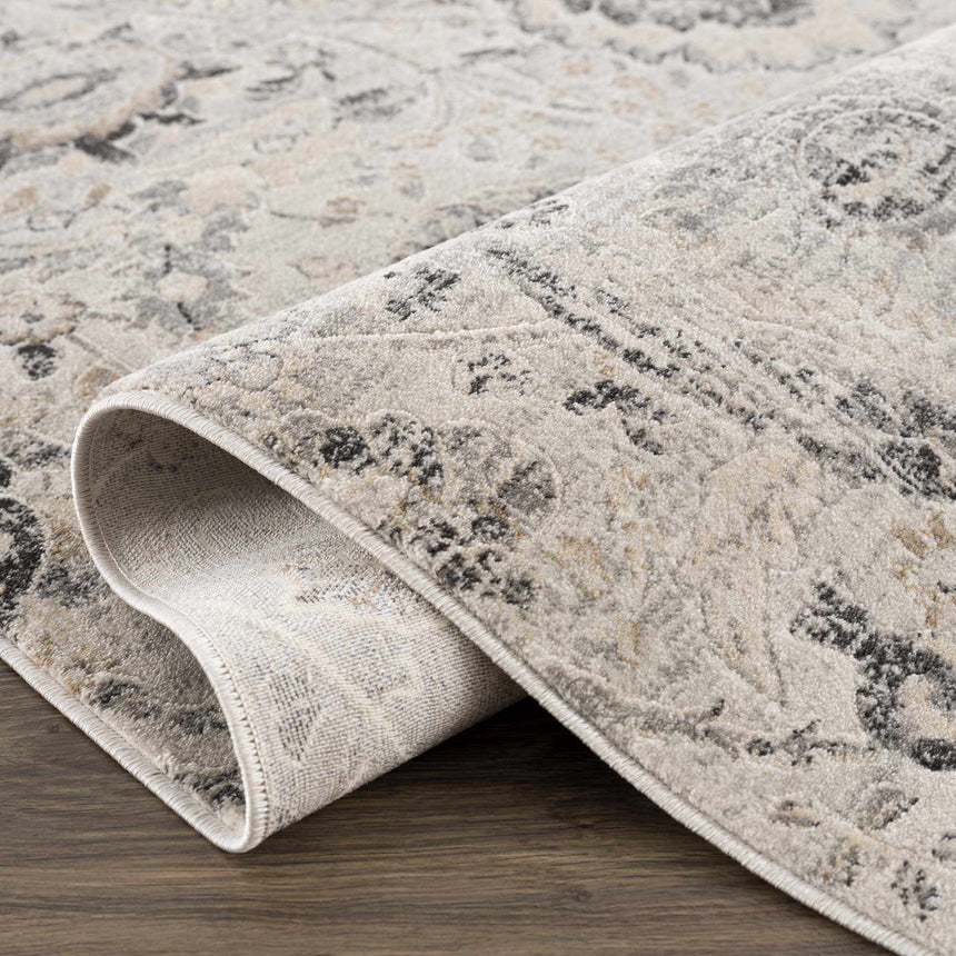 Georgiana Area Rug – Boutique Rugs