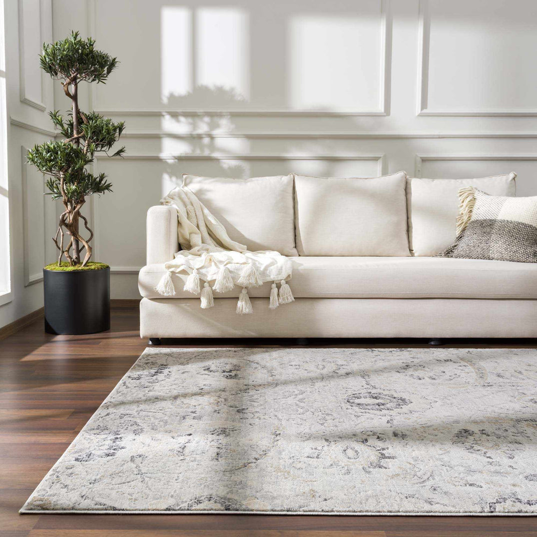 Georgiana Area Rug – Boutique Rugs