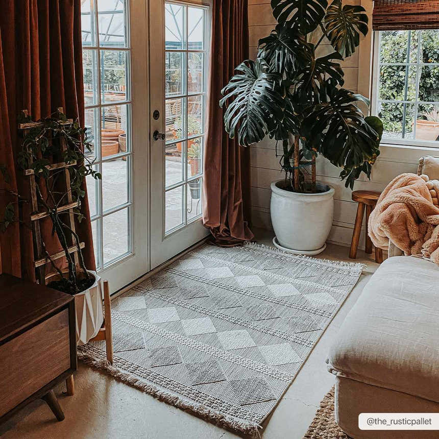 Sunroom with beige Igone Area Rug, brown curtains, white door, and large potted Monstera plant. Roomscene-Rectangle