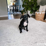 Isako Cream & Gray Solid Washable Area Rug - Clearance