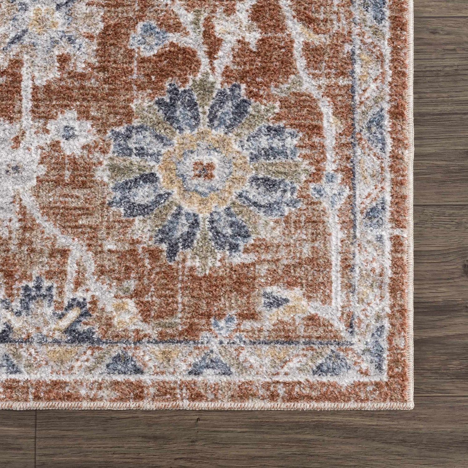 Chavi Washable Area Rug - Clearance