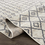 Midstream Washable Area Rug - Clearance