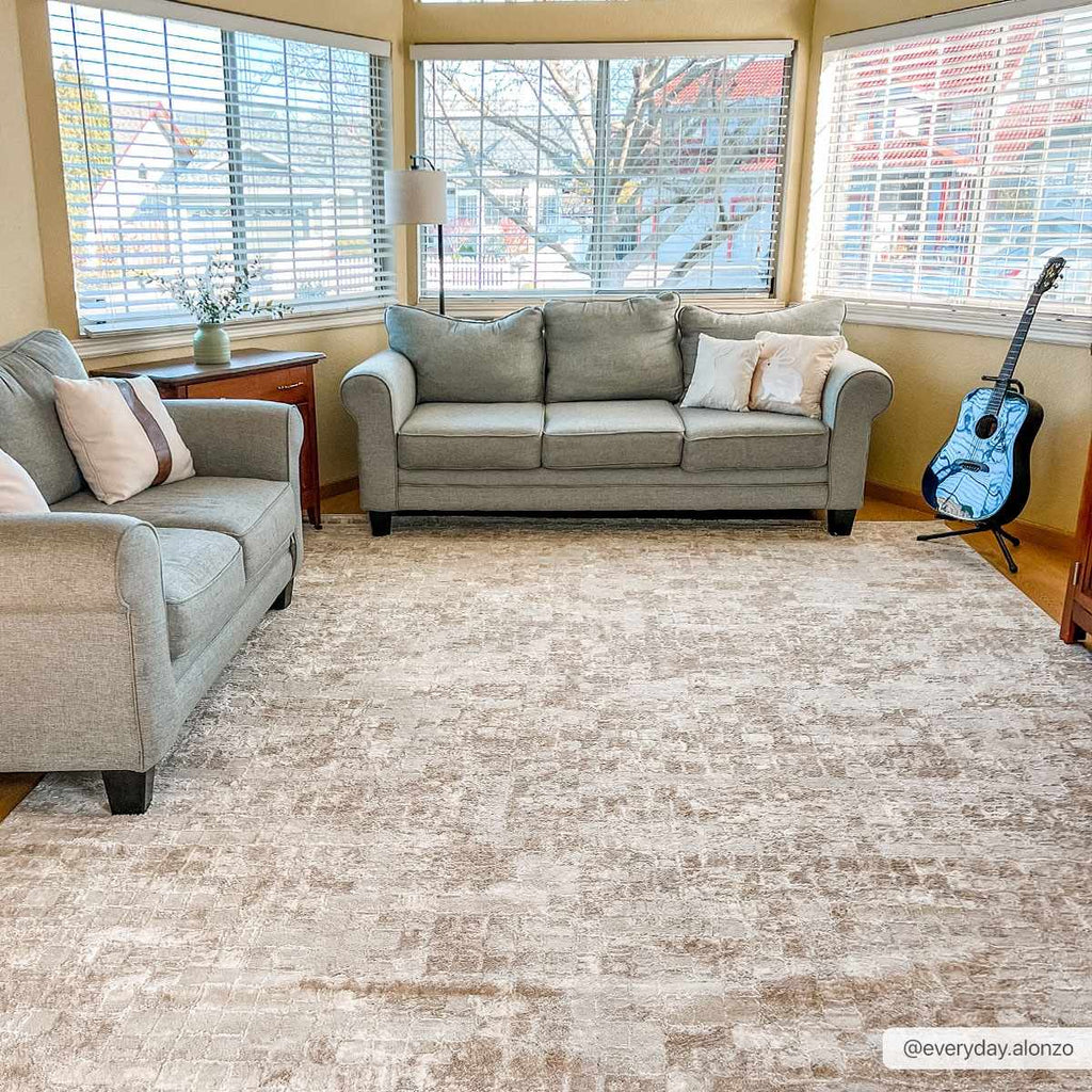 Blush area online rug