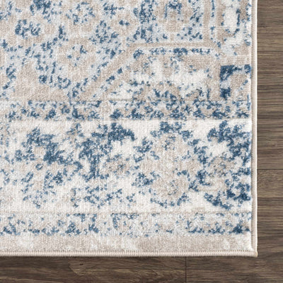 Amir Blue Medallion Area Rug