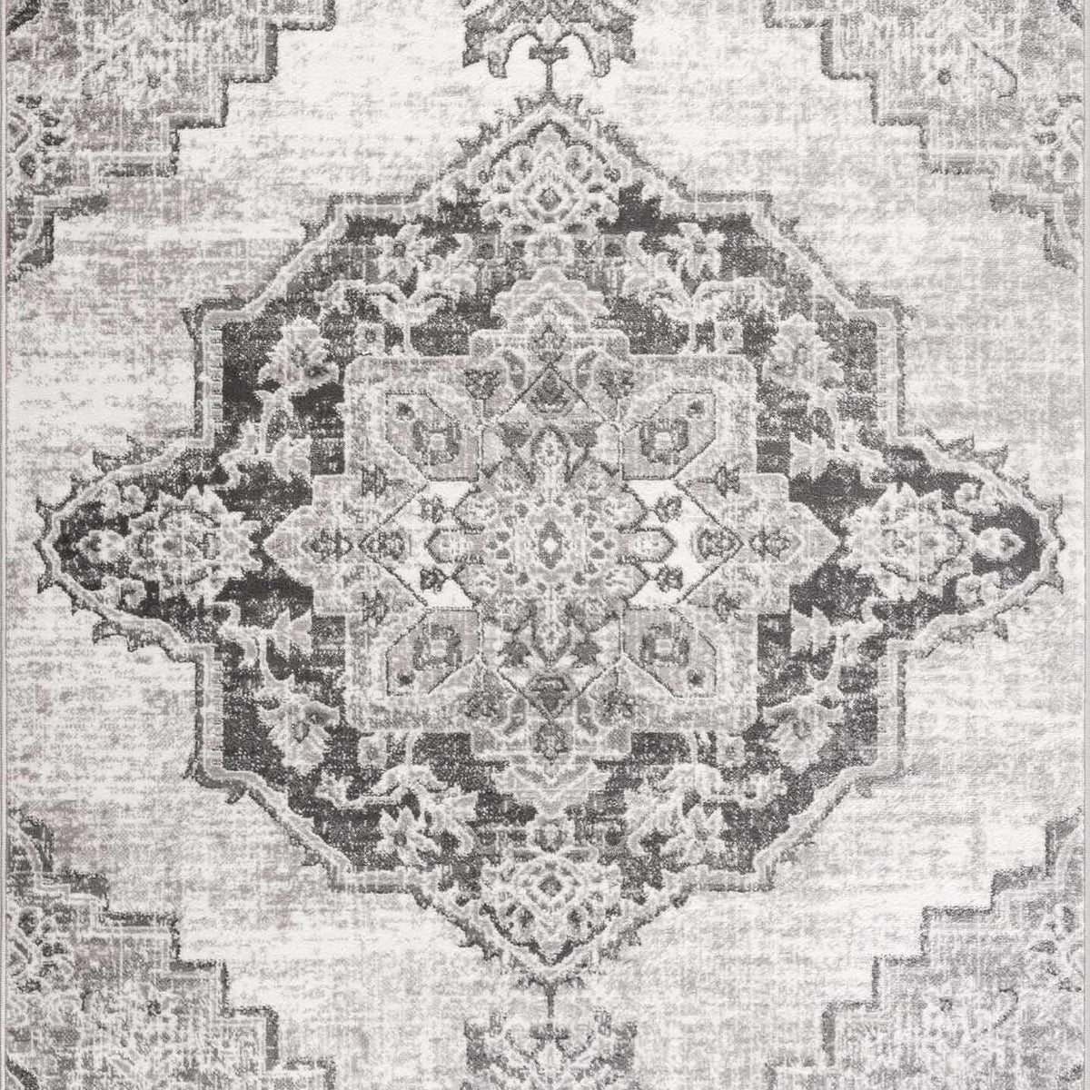 Elani Area Rug - Clearance – Boutique Rugs
