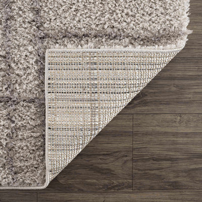 Andia Gray Area Rug - Clearance