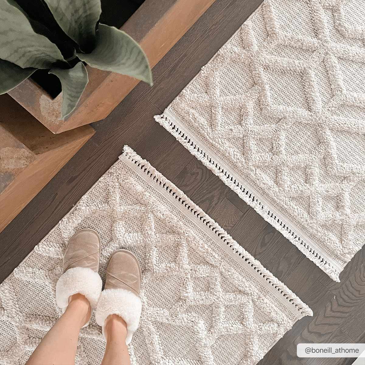 Malilinao Area Rug - Beige embossed trellis rug with small tassels