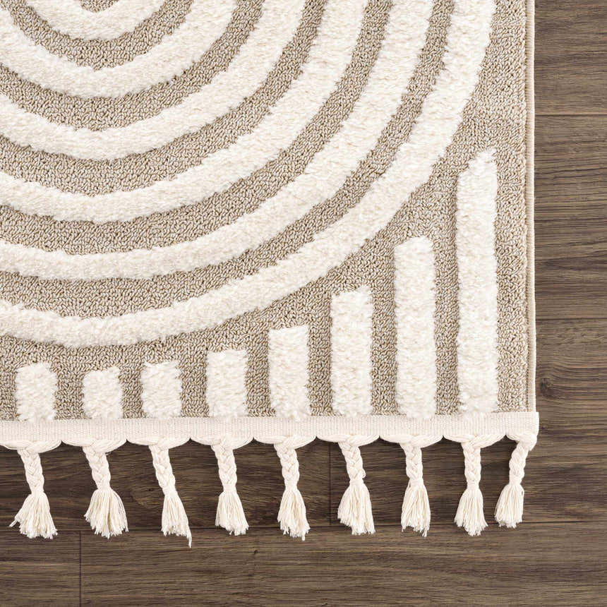 Close-up of the Moise Area Rug, featuring a beige and cream geometric pattern and decorative tassels. Swatch