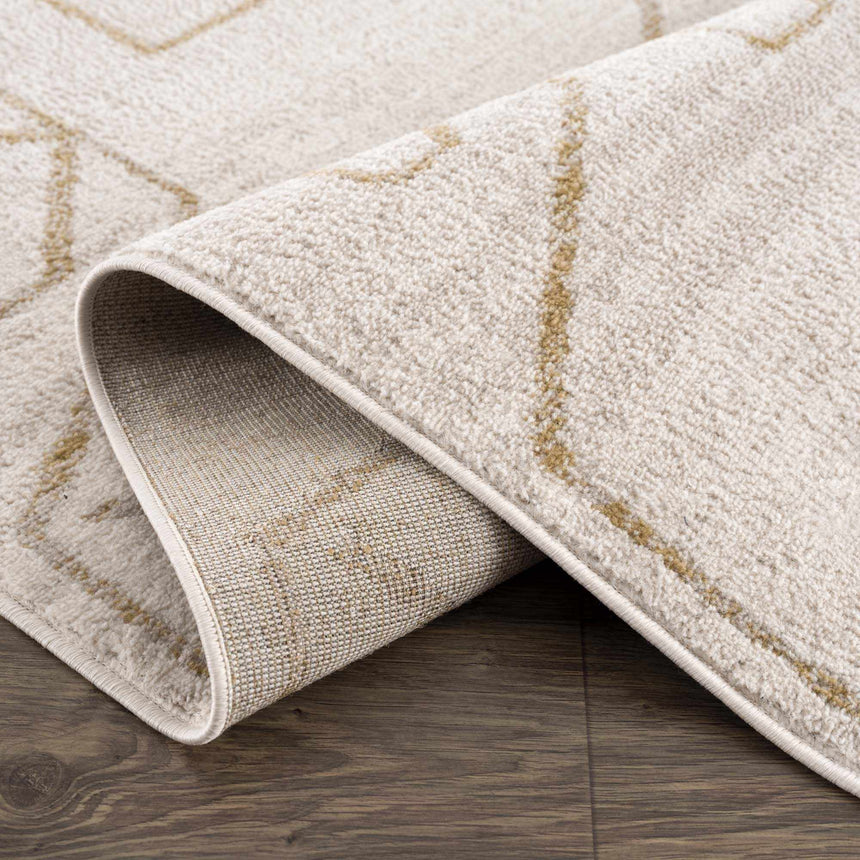 Azzan Cream & Gold Area Rug - Clearance