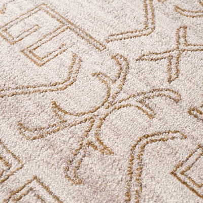 Divya Cream & Gold Area Rug - Clearance