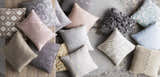 Colt Throw Pillow - Clearance