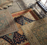 Close-up of hand-knotted Clunes Area Rugs in black, brown, green, beige, and yellow, showcasing traditional and oriental designs. Styleshot