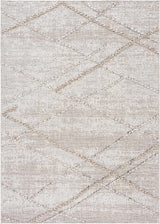 Baqer Bone & Tan Textured Performance Rug - Clearance