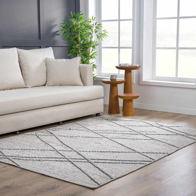 Baqer Taupe & Gray Textured Performance Rug - Limited Edition