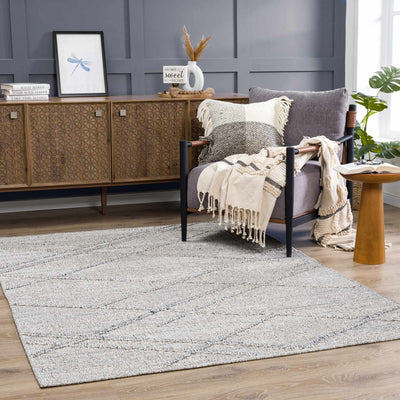 Baqer Taupe & Gray Textured Performance Rug - Limited Edition