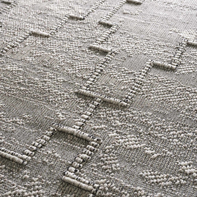 Butch Taupe Textured Performance Rug - Limited Edition
