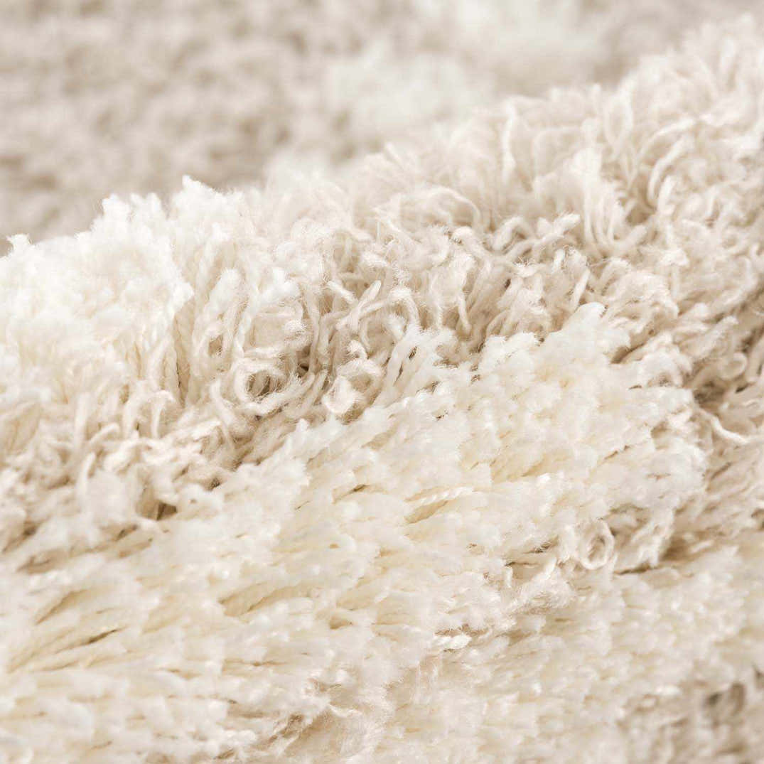 Igor Shag Area Rug – Boutique Rugs