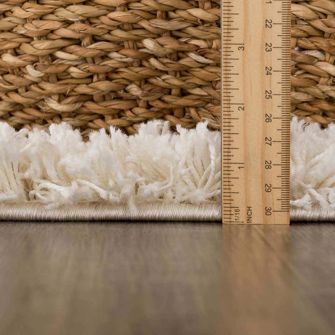 Igor Shag Area Rug – Boutique Rugs