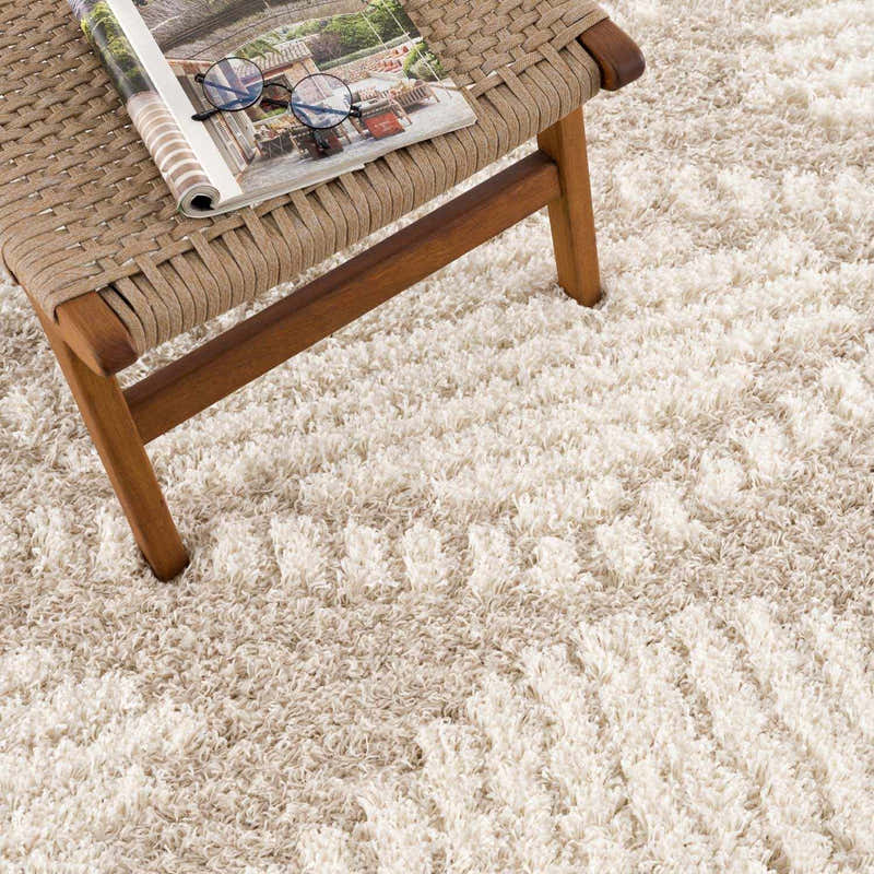 Igor Shag Area Rug – Boutique Rugs