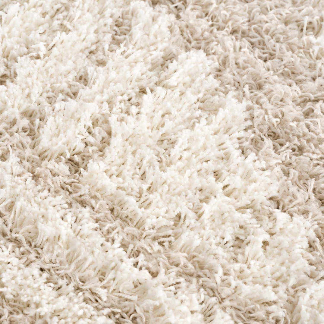 Igor Shag Area Rug – Boutique Rugs