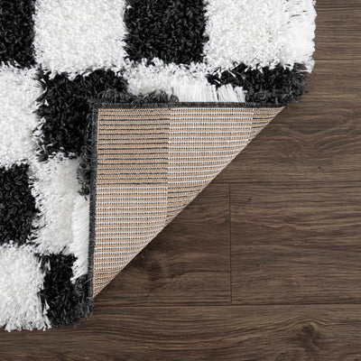 Atira Black & White Checkered Area Rug