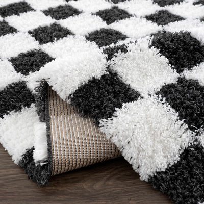 Atira Black & White Checkered Area Rug