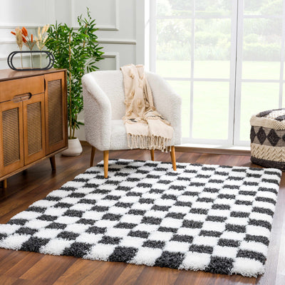 Atira Black & White Checkered Area Rug