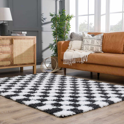 Atira Black & White Checkered Area Rug