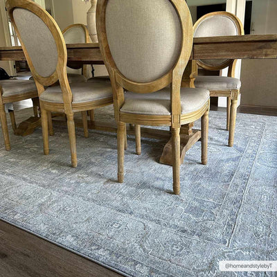 Ulubey Distressed Gray Area Rug