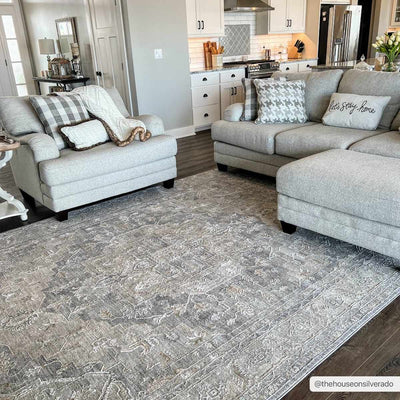 Ulubey Distressed Gray Area Rug