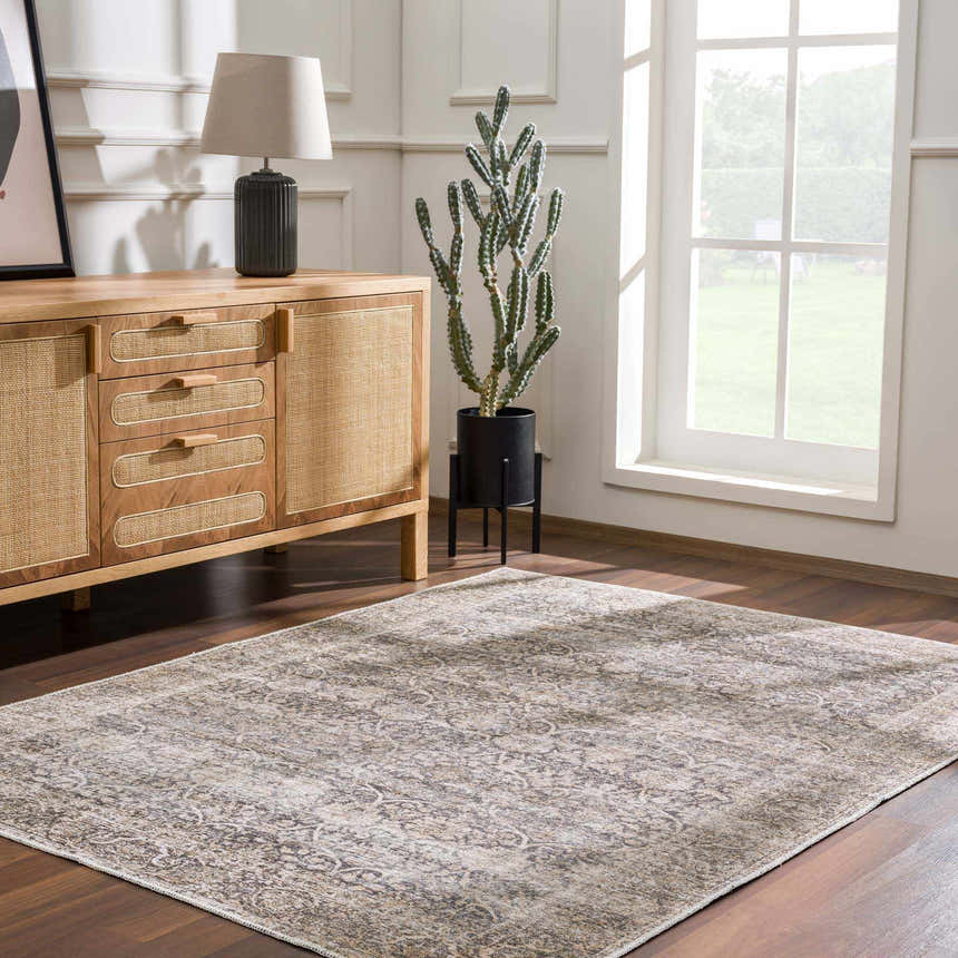 Living room scene with a beige Ohoud Washable Area Rug, wood floors, and a wooden cabinet with a lamp and cactus. Roomscene-Rectangle