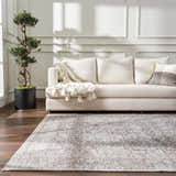 Living room scene with a medium gray Odele Washable Area Rug, beige sofa, and potted tree. Farmhouse style. Roomscene-Rectangle