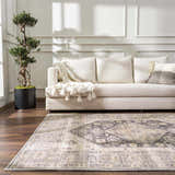 Living room with a neutral couch, olive tree, and the Keola Washable Area Rug in a traditional pattern. Roomscene-Rectangle