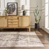 Living room scene with a Keola Washable Area Rug, wood cabinet, art, lamp, and cactus. Traditional farmhouse style. Roomscene-Rectangle
