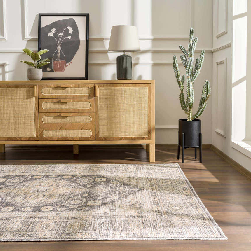 Living room scene with a Keola Washable Area Rug, wood cabinet, art, lamp, and cactus. Traditional farmhouse style. Roomscene-Rectangle