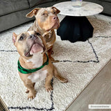 Yuya Washable Area Rug - Clearance