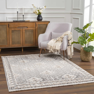 Agoo High-Low Pile Performance Rug