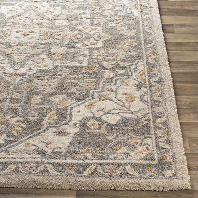 Abbyville Area Rug - Clearance