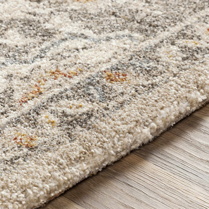 Abbyville Area Rug - Clearance