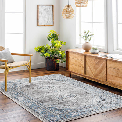 Adish Area Rug - Clearance