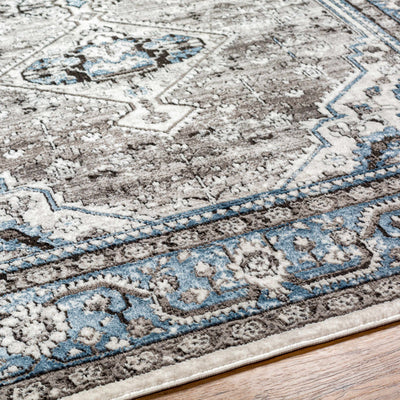 Adish Area Rug - Clearance