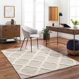 Adora Area Rug - Clearance