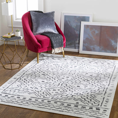 Tuttle Gray on White Tribal Rug - Clearance