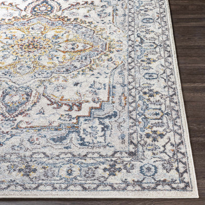 Ainsworth Area Rug - Clearance