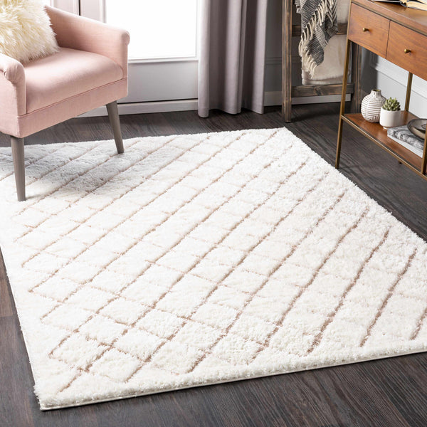 Aitkenvale Area Rug