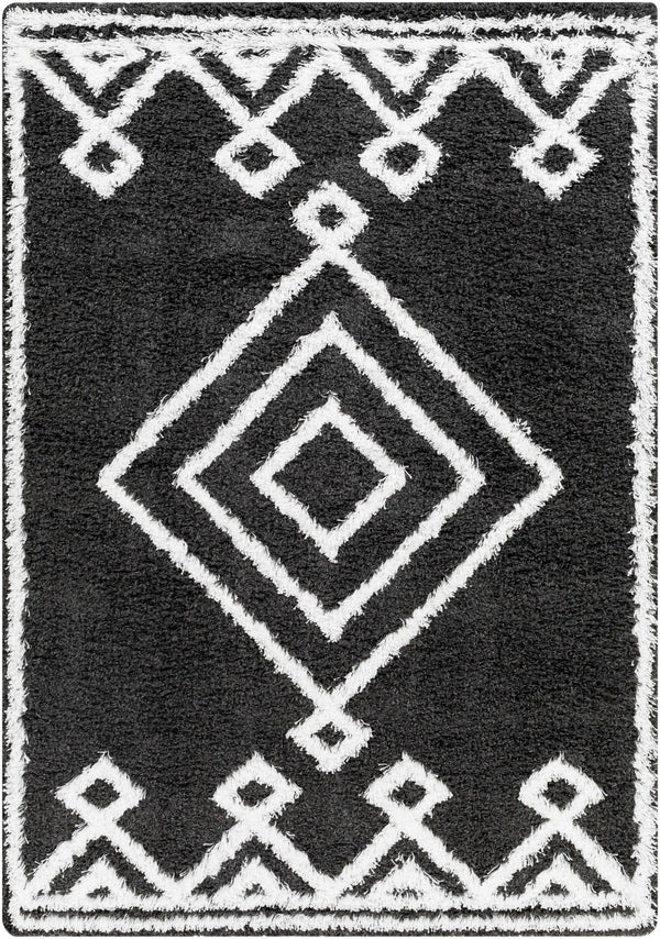 Ajmal Shag Area Rug