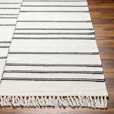 Akash Area Rug