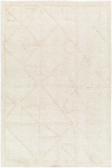 Close-up of the Akili Area Rug. Beige shag rug with a subtle geometric pattern and soft, plush texture. Design-Rectangle-537